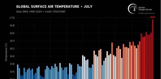世界氣象組織數據顯示，從1940至2023年7月份的全球平均氣溫中，今年7月來到前所未有的高溫紀錄。圖/翻攝自世界氣象組織
