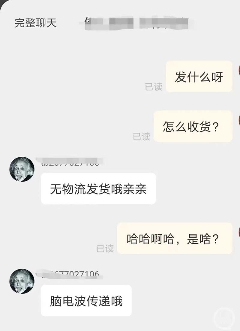 賣家與買家對話表示,無物流,腦電波傳遞。圖/引自新浪網