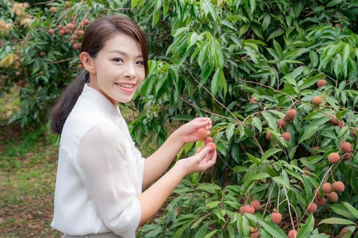 圖／擷取自高虹安
