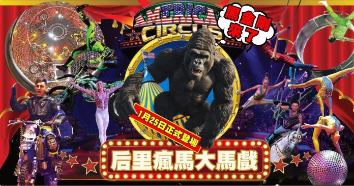 逛馬場、騎單車、遊樂園！　中市觀旅局推薦后里走春迎新年