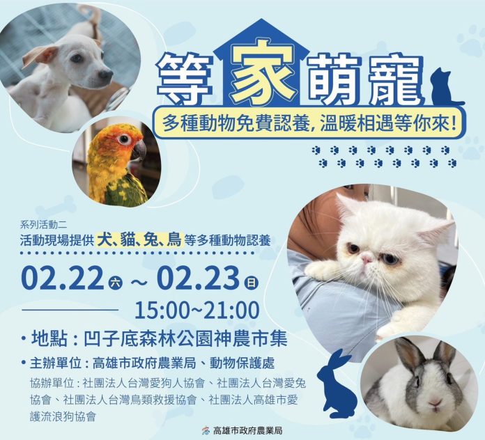 神農市集「蛇麼都有-蛇麼攏賀」　精選農產、創意私廚與吸睛萌寵齊聚高雄凹子底公園