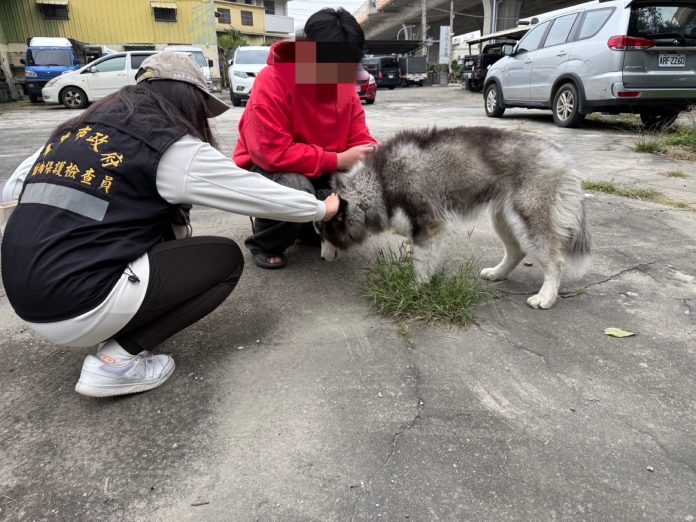 不容虐待動物！東勢區虐犬棄養　中市動保處將嚴懲-擬重罰22.5萬元