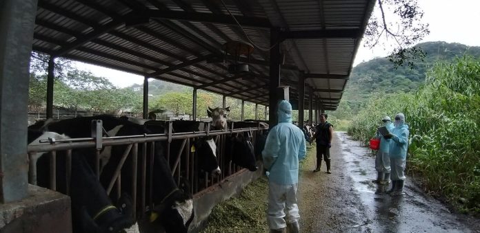 世界結核病日　-新北市動保處為鮮乳食品安全把關　結核病零檢出