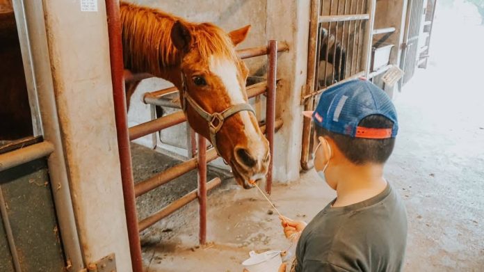 兒童節連假親子出遊首選台中！　「馬場體驗、樂園冒險、森林賞螢」限定優惠隨你玩