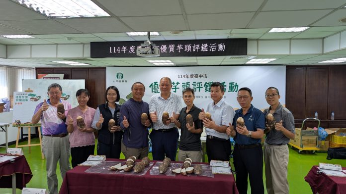 台中芋頭享譽全國-　芋頭評鑑大甲區王忠信勇奪冠軍頭銜！