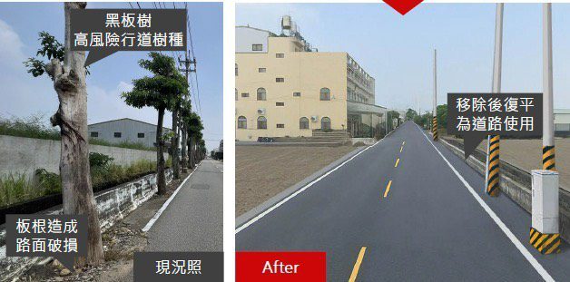 多年地方困擾終解決！　外埔區二崁路黑板樹移植完成-通行安全升級