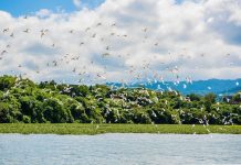 相約峨眉湖畔共品東方美人茶 10/27開放報名秋日茶席 相約峨眉湖畔共品東方美人茶 -10/27開放報名秋日茶席