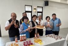 2025花壇西柚節-「萬聖西施趴踢秀 柚來同樂!」 2025花壇西柚節-「萬聖西施趴踢秀-柚來同樂!」