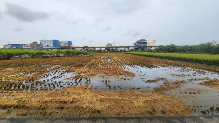 中市推稻草再利用計畫-　12/5前受理今年2期作補助