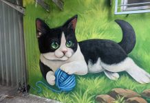 灰暗後巷轉生海底花卉世界 巷弄間彩繪出毛孩的派對 灰暗後巷轉生海底花卉世界 巷弄間彩繪出毛孩的派對