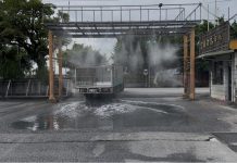 非洲豬瘟防疫禁令解除 宜縣8日就有溫體豬 非洲豬瘟防疫禁令解除 宜縣8日就有溫體豬