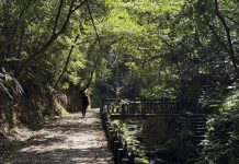 秋日雅行 北市首選虎山溪 享受深層慢活時光 秋日雅行 北市首選虎山溪 享受深層慢活時光