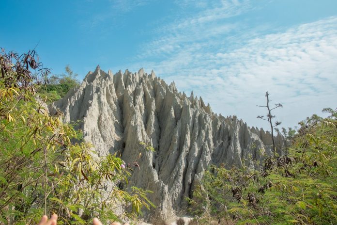 高雄海線探險趣 -11/23彌陀公園登場 闖關遊戲玩翻海線 高雄海線探險趣 -11/23彌陀公園登場 闖關遊戲玩翻海線