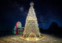 啦啦隊女神安芝儇、南珉貞將現身《下酒祭》展廚藝 《高流聖誕趴》17米聖誕樹「金勾TREE」12月5日起閃耀港灣 啦啦隊女神安芝儇、南珉貞將現身《下酒祭》展廚藝-《高流聖誕趴》17米聖誕樹「金勾tree」12月5日起閃耀港灣