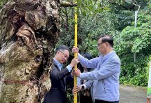 北市淨零教育里程碑!47所先鋒學校完成碳盤查 四年計畫邁向碳中和校園 北市淨零教育里程碑!47所先鋒學校完成碳盤查 四年計畫邁向碳中和校園