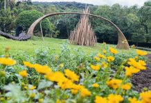 今年的菊展不一樣!士林官邸跨界藝術、宮廟文化 打造最台味花藝盛宴 今年的菊展不一樣!士林官邸跨界藝術、宮廟文化 打造最台味花藝盛宴