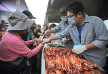 淡水漁人碼頭「2025螃蟹肥了」22日登場 一起品蟹趣玩 享受漁港秋日風味 淡水漁人碼頭「2025螃蟹肥了」22日登場 一起品蟹趣玩 享受漁港秋日風味