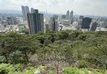 一起種下未來 大地處號召企業打造城市綠色碳倉 一起種下未來 大地處號召企業打造城市綠色碳倉