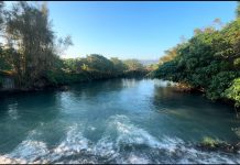 2025 五分港溪秋之⼤地藝術祭 欣賞臺北市最美河川 2025-五分港溪秋之⼤地藝術祭-欣賞臺北市最美河川