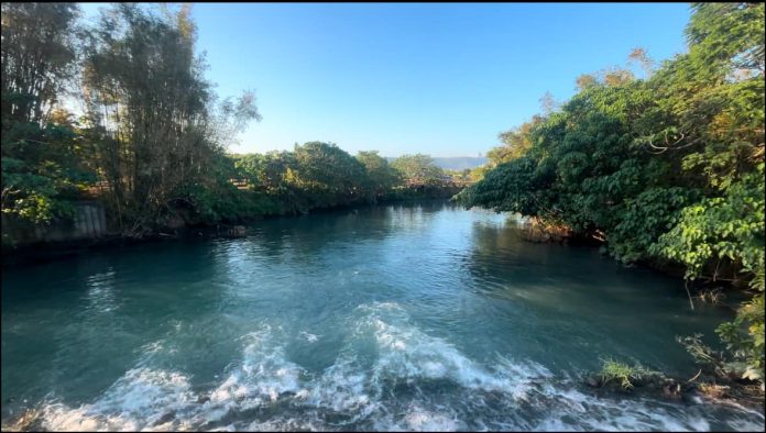 2025-五分港溪秋之⼤地藝術祭-欣賞臺北市最美河川 2025-五分港溪秋之⼤地藝術祭-欣賞臺北市最美河川