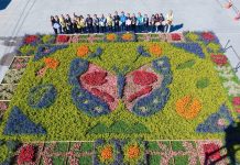 2025埔里花卉展暨南投花卉嘉年華 11/22盛大登場! 2025埔里花卉展暨南投花卉嘉年華 11/22盛大登場!