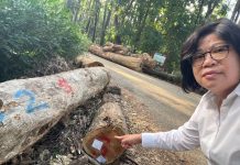 王美惠爭取經費獲農業部承諾 嘉義樹木園1500萬修復缺口解套 王美惠爭取經費獲農業部承諾 嘉義樹木園1500萬修復缺口解套