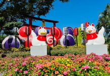 士林官邸菊展最佳賞花期 12 月上旬 攝影與短影音募集同步開跑 士林官邸菊展最佳賞花期-12-月上旬 攝影與短影音募集同步開跑