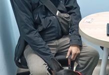 飼主靠寵物不當展演賺錢 新北動保處蒐證 開罰5萬元並沒入犬隻 飼主靠寵物不當展演賺錢 新北動保處蒐證 開罰5萬元並沒入犬隻