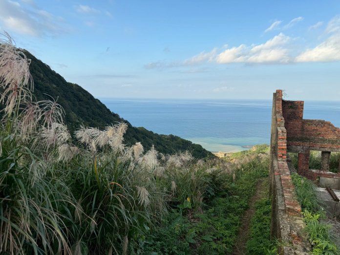 秋冬限定　芒花隨風綻放　新北推賞芒抽好禮