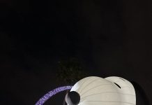 史努比進駐古蹟!公館聖誕季11/29登場 日夜不同風貌點亮自來水園區 史努比進駐古蹟!公館聖誕季11/29登場 日夜不同風貌點亮自來水園區