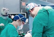 屏東醫院與高醫跨院再次攜手 完成器官捐贈讓愛延續 屏東醫院與高醫跨院再次攜手 完成器官捐贈讓愛延續