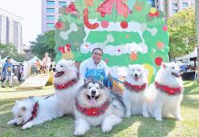 帶毛寶貝同遊新北歡樂耶誕城 全國首創寵物旅遊路線公布 帶毛寶貝同遊新北歡樂耶誕城 -全國首創寵物旅遊路線公布