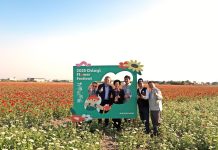 嘉義市花海生活節 回「嘉」漫步徜徉花海與樂聲中 嘉義市花海生活節 回「嘉」漫步徜徉花海與樂聲中