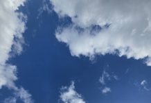 說地談天/送妳一片我所凝視的天空(莊至柔)