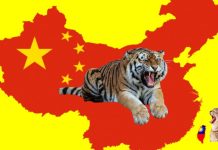 貓虎搏殺?1.25兆元的武裝是砲灰預算 圖/翻攝網路