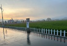 2025新社花海暨台中國際花毯節圓滿落幕 清潔隊2小時內恢復場地環境 2025新社花海暨台中國際花毯節圓滿落幕 清潔隊2小時內恢復場地環境