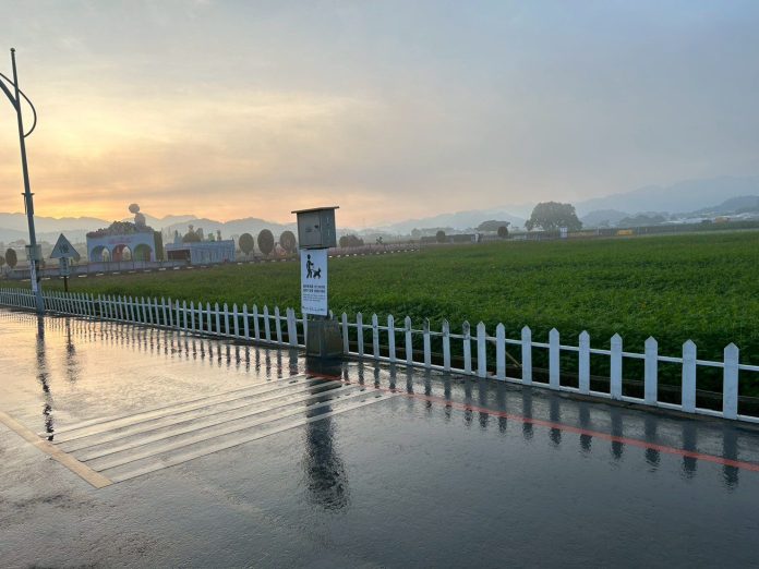 2025新社花海暨台中國際花毯節圓滿落幕　清潔隊2小時內恢復場地環境