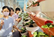 雲林縣推動AI智慧農業 打造智慧農業校園基地 雲林縣推動ai智慧農業 打造智慧農業校園基地