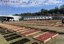 2025第二屆日月潭飲食生活節 12/6於向山遊客中心 盛大登場 2025第二屆日月潭飲食生活節 12/6於向山遊客中心 盛大登場