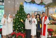 聖馬爾定醫院點亮聖誕馬槽 送上祝福與平安 聖馬爾定醫院點亮聖誕馬槽 送上祝福與平安