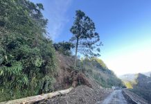 太平山9日起至年底開園調整為8時 宜專路半點放行10分鐘 太平山9日起至年底開園調整為8時 宜專路半點放行10分鐘