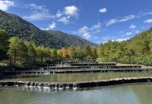 封閉3年的宜蘭秘境「三層坪」開放 預約全額滿 封閉3年的宜蘭秘境「三層坪」開放 預約全額滿