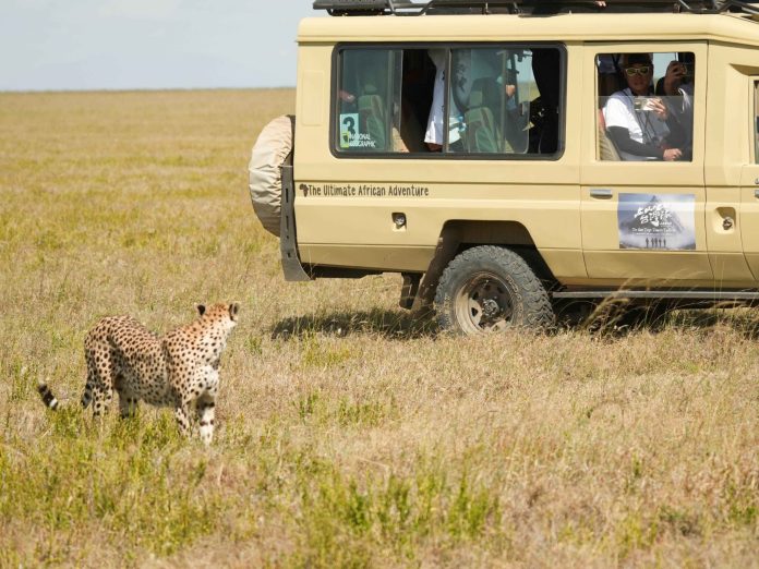 非洲篇震撼登場與獅子-獵豹-鬣狗比鄰而居-大草原景色激動落淚 非洲篇震撼登場與獅子-獵豹-鬣狗比鄰而居-大草原景色激動落淚