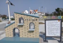 友善城市再升級!嘉義市西區首座寵物公園試營運 同步推「320+1」邀親子同樂 友善城市再升級!嘉義市西區首座寵物公園試營運 同步推「320+1」邀親子同樂