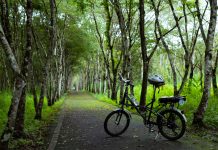 「徐行縱谷」自行車旅遊12/15上線 串聯花東經典路線打造低碳慢旅新選擇 「徐行縱谷」自行車旅遊12/15上線 串聯花東經典路線打造低碳慢旅新選擇