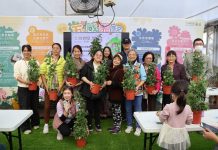 士林官邸菊展倒數 45萬人次參觀 展後200盆花12/17免費認養 士林官邸菊展倒數 45萬人次參觀 展後200盆花12/17免費認養