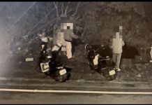 員山鄉私人魚池遭偷釣魚 3大生涉案 員山鄉私人魚池遭偷釣魚 3大生涉案