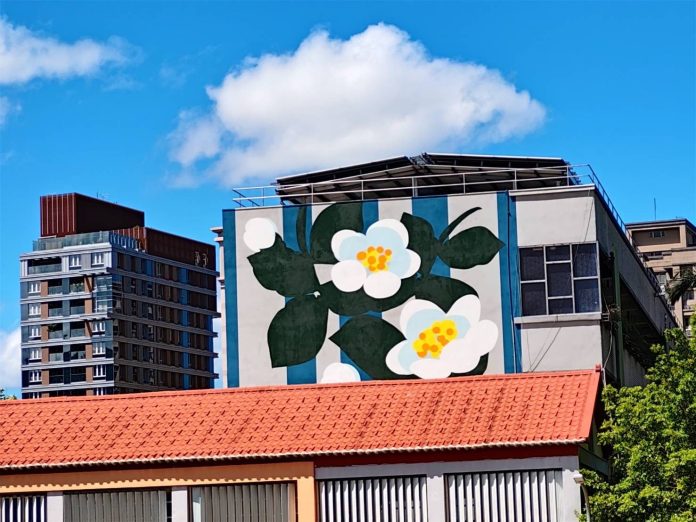 外牆換新裝校園展新貌 北市校舍安全優化顯現繽紛 外牆換新裝校園展新貌 北市校舍安全優化顯現繽紛