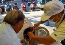 新年新氣象!中市巡迴注射開跑 邀市民帶毛孩一起守護健康 新年新氣象!中市巡迴注射開跑 邀市民帶毛孩一起守護健康