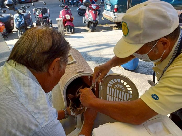 新年新氣象!中市巡迴注射開跑 邀市民帶毛孩一起守護健康 新年新氣象!中市巡迴注射開跑 邀市民帶毛孩一起守護健康